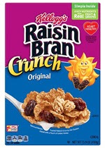 Raisin Bran Breakfast Cereal (16.6 oz )